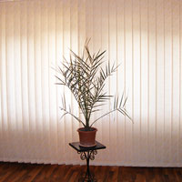 Galerie jaluzele verticale 01